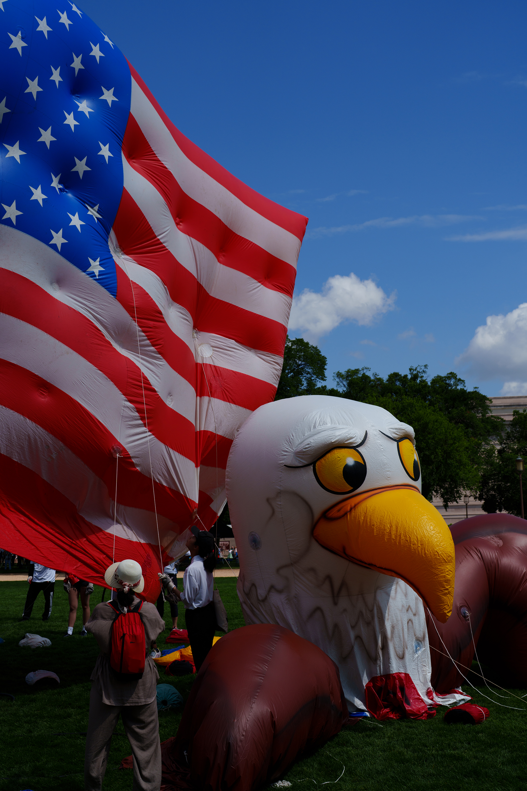 Flag and Eagle